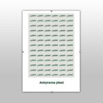 Antyrama z plexi