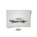 Plakat - Ford Mustang Shelby GT500